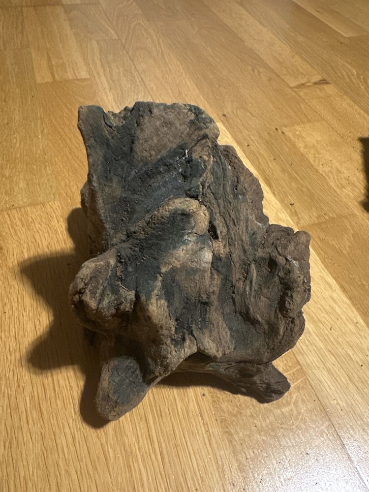 Korzen do tarrarium akwarium