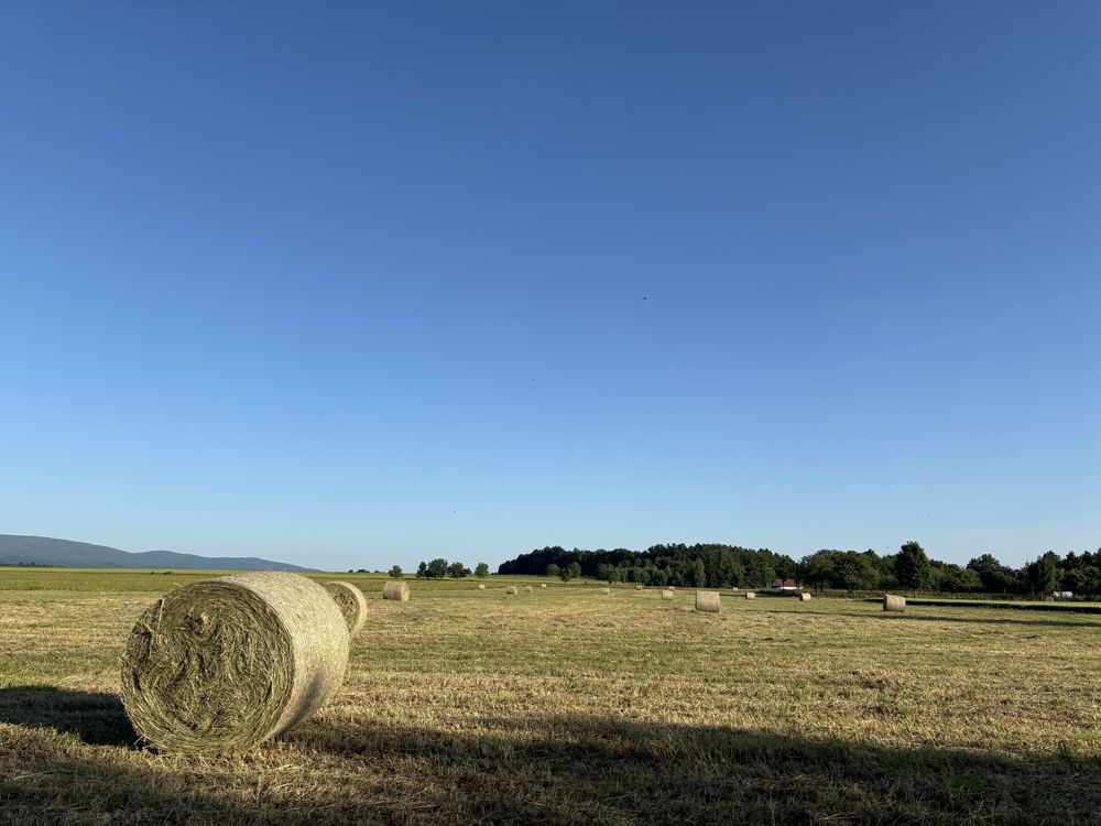 Siano balot siatka 120 z ekologicznych łąk