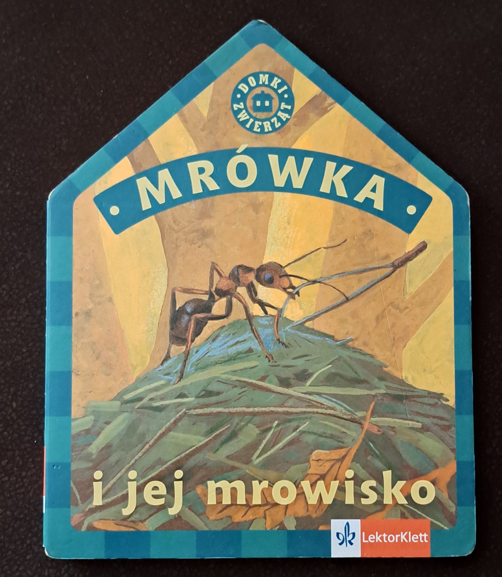 Mrówka I jej mrowisko.