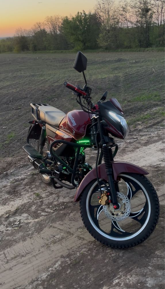 Musstang FIT II 2023