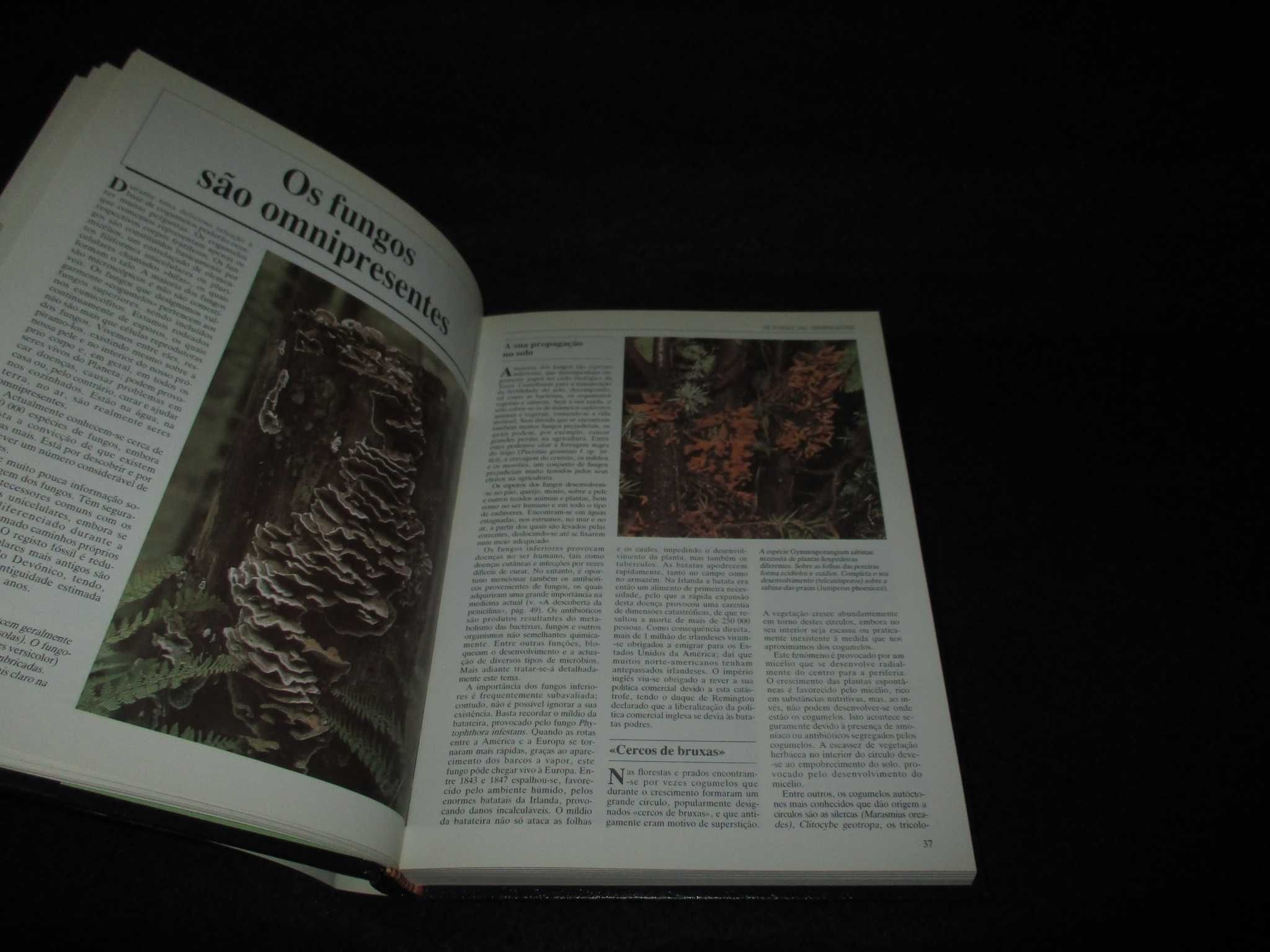 Livros Lexicoteca História Ciência Botânica Atlas