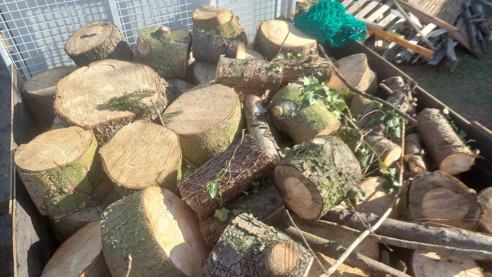 drewno opałowe iglaste, liściaste, sezonowane, suche