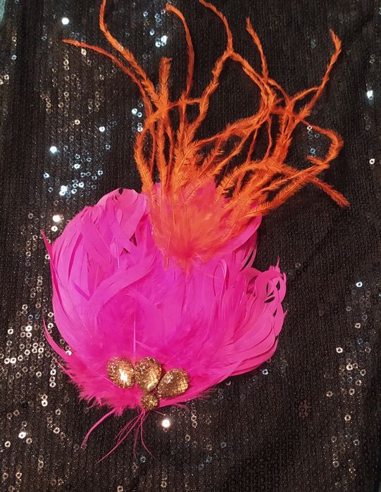 Broszka różowe piórka