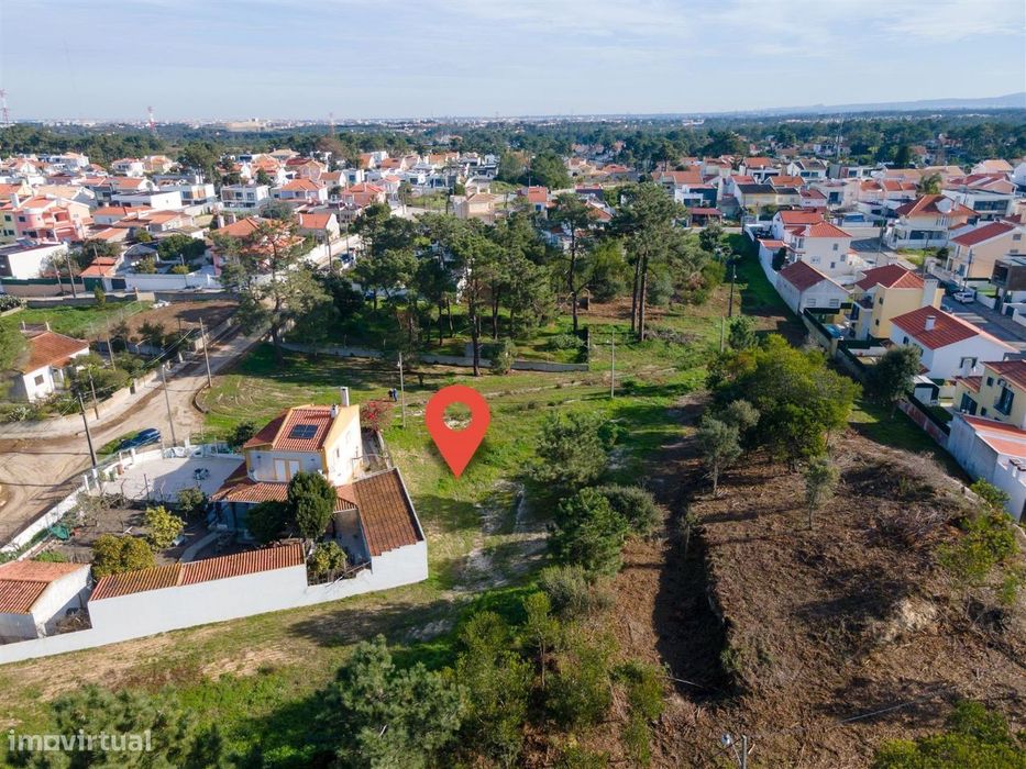 Terreno Urbano, Marisol