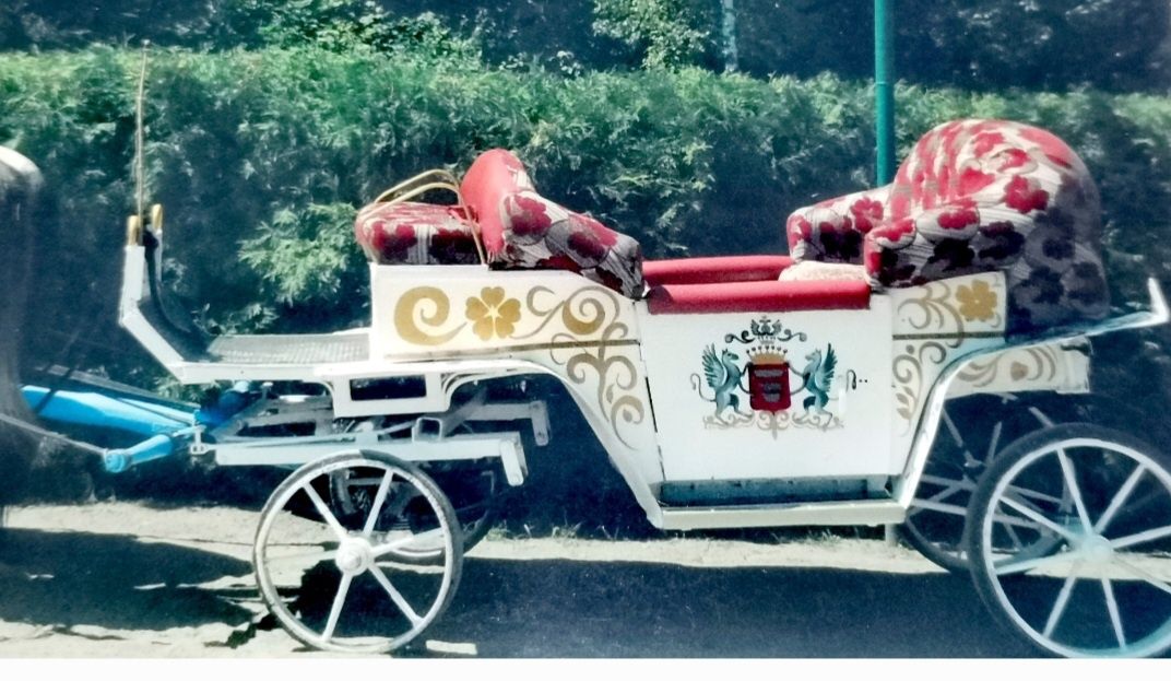 Продам парокіну карету.