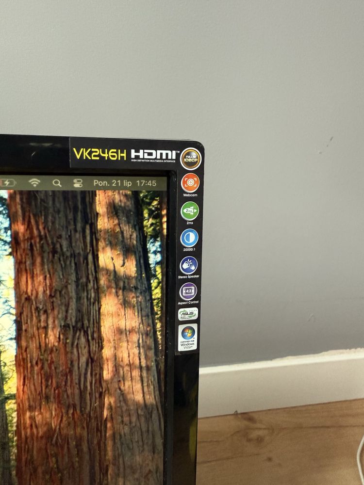 Monitor ASUS VK246H sprawny