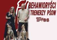 Szkolenie psów | Psi Behawioryści