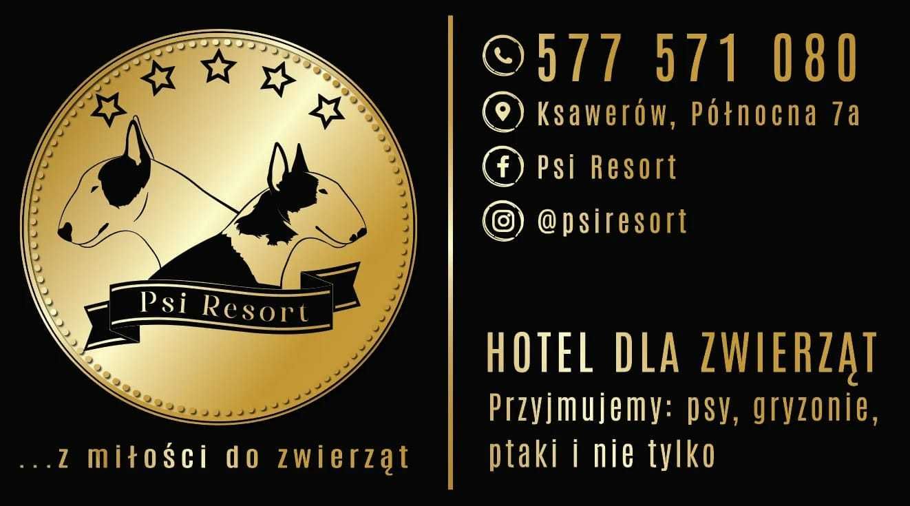 Hotelik dla psów Psi Resort