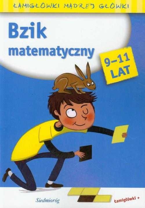 Bzik matematyczny 9 - 11 lat Michałowska Nowa