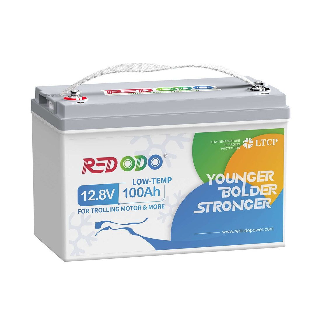 Redodo 12V 100Аh LOW-TEMP LiFePO4