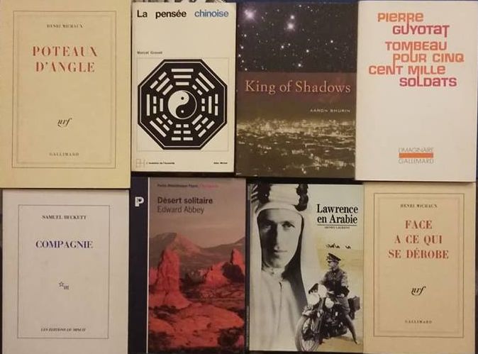 45 livros: Alice Walker/ Michaux/ Miller/Huxley/ Capra/Morin/Rimbaud