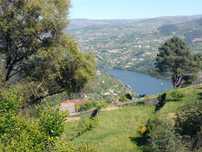Vende-se terreno rústico com vista rio Douro