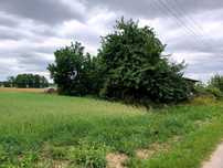 Dzialka budowlana 1000m2 blisko lasu
