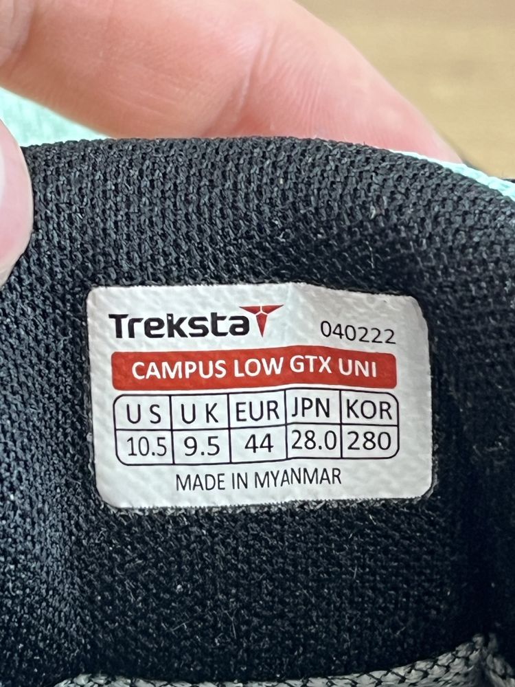 Buty trekingowe Treksta Gore-Tex męskie