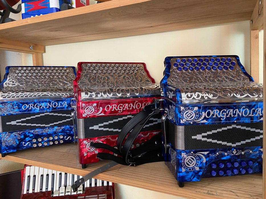 Concertinas novas desde 2k