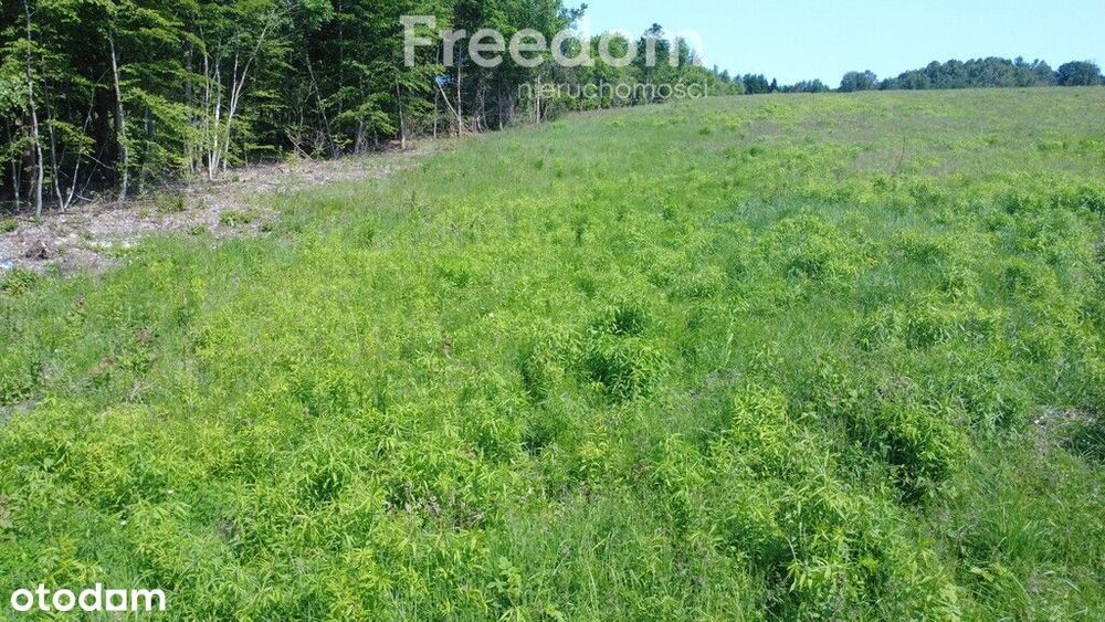 Działka budowlana w Konikowie