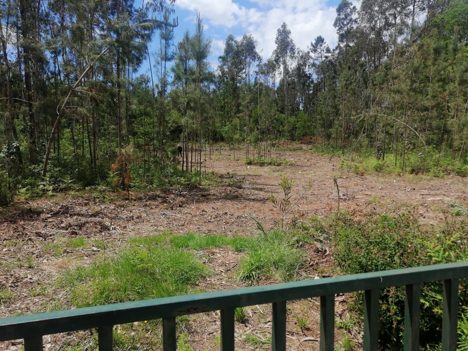 Terreno urbano em Louredo