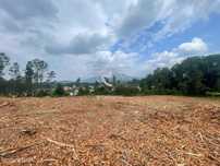 Terreno para construçao em Fontao - Ponte de Lima