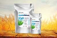 Azotopower 1kg Biolider stymulator wzrostu roślin azot Azotobacter