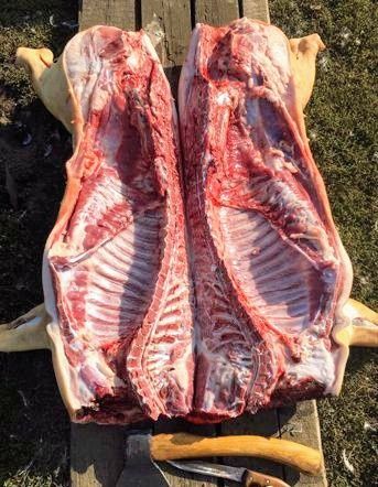 Продається свиня