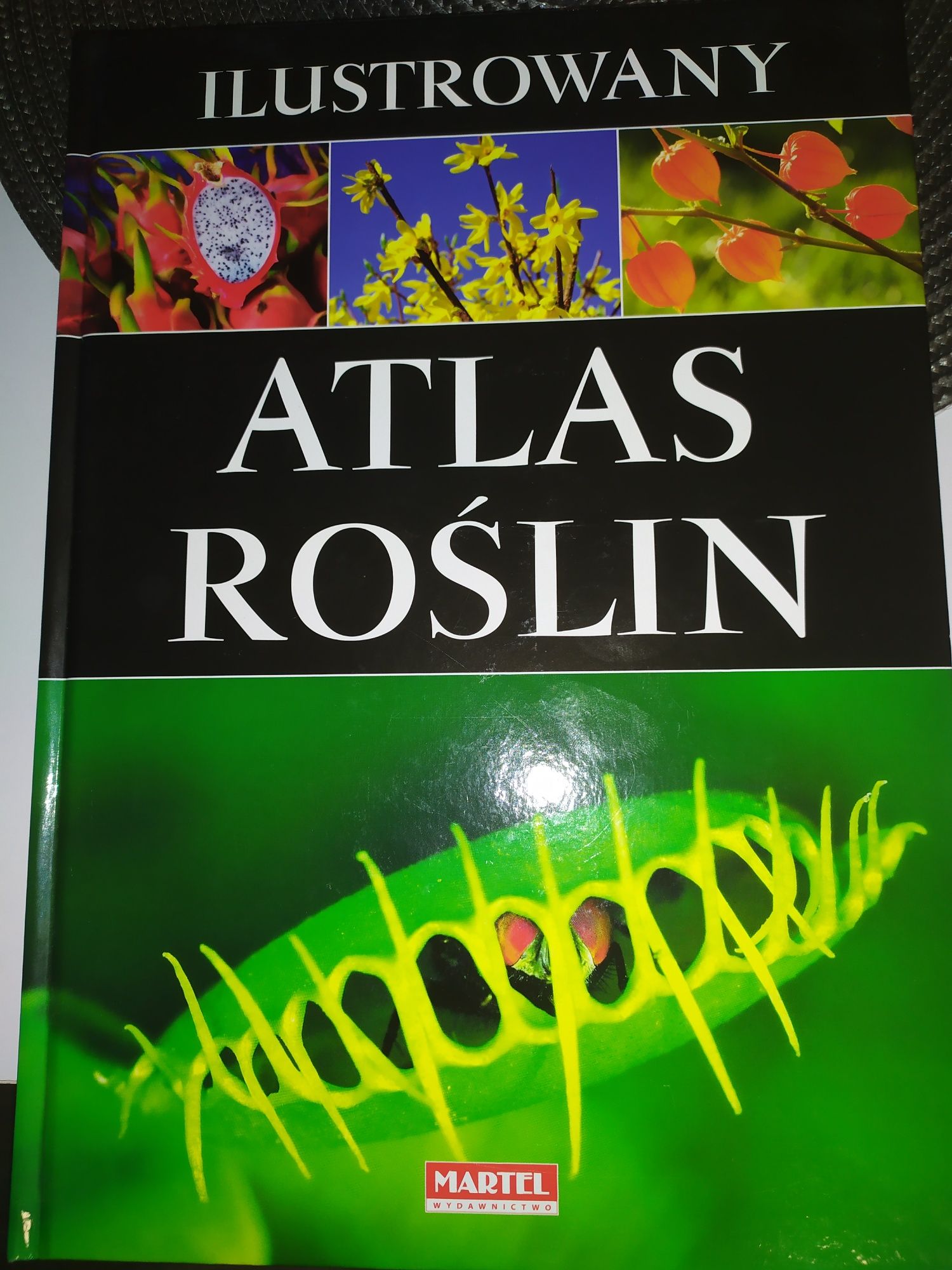 2 albumy Ilustrowany Atlas Świata, Roślin