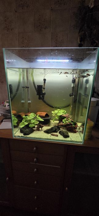 Aquario 50x40x45