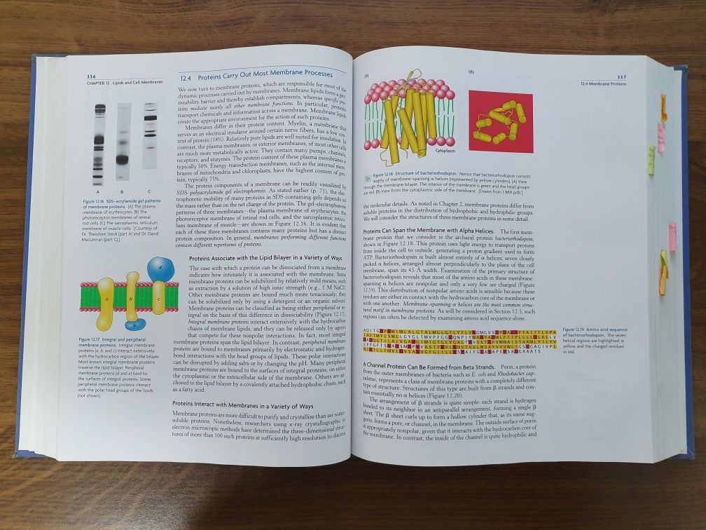 Biochemistry book