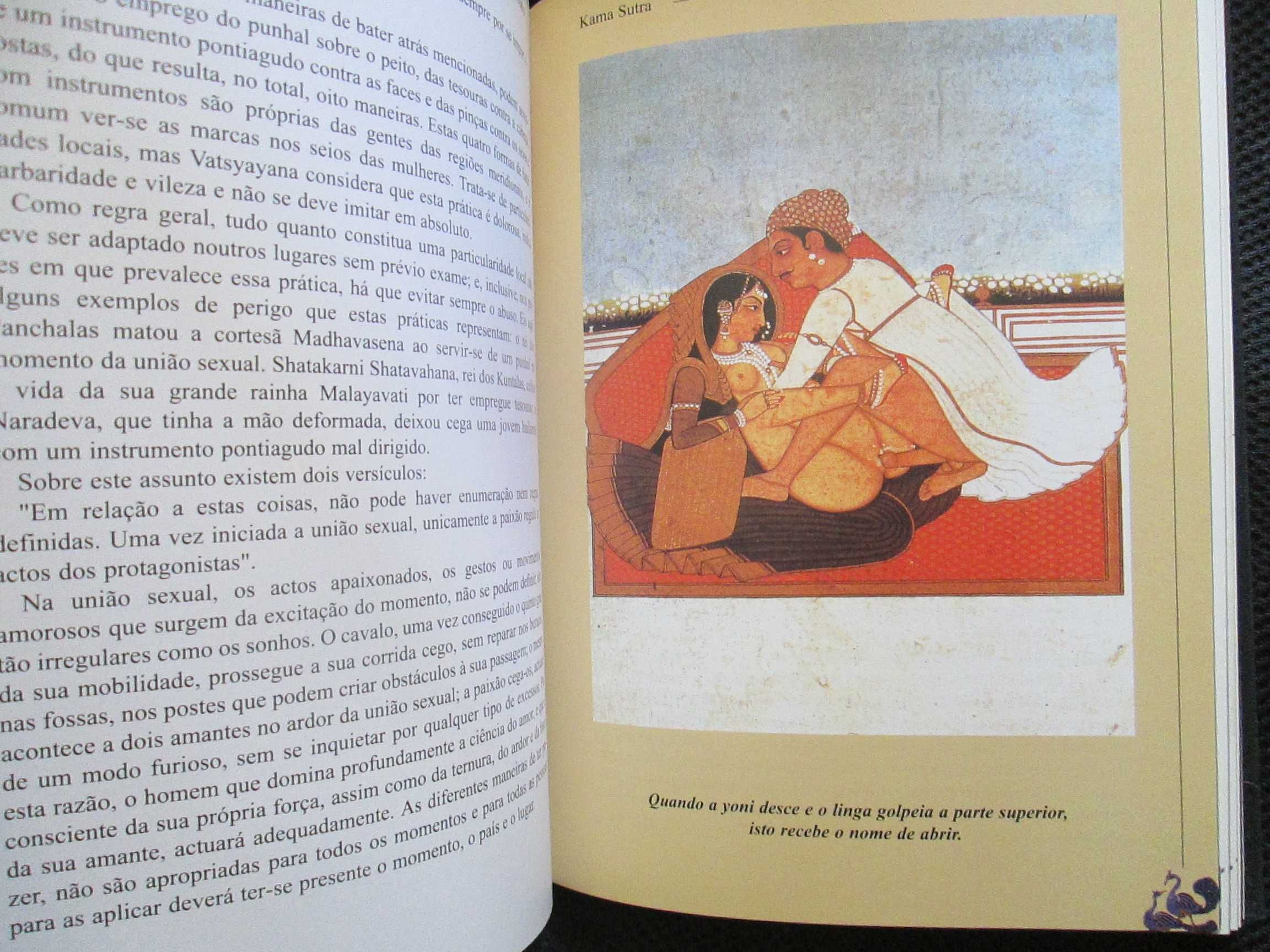 Kama Sutra, edição especial ilustrada, como novo