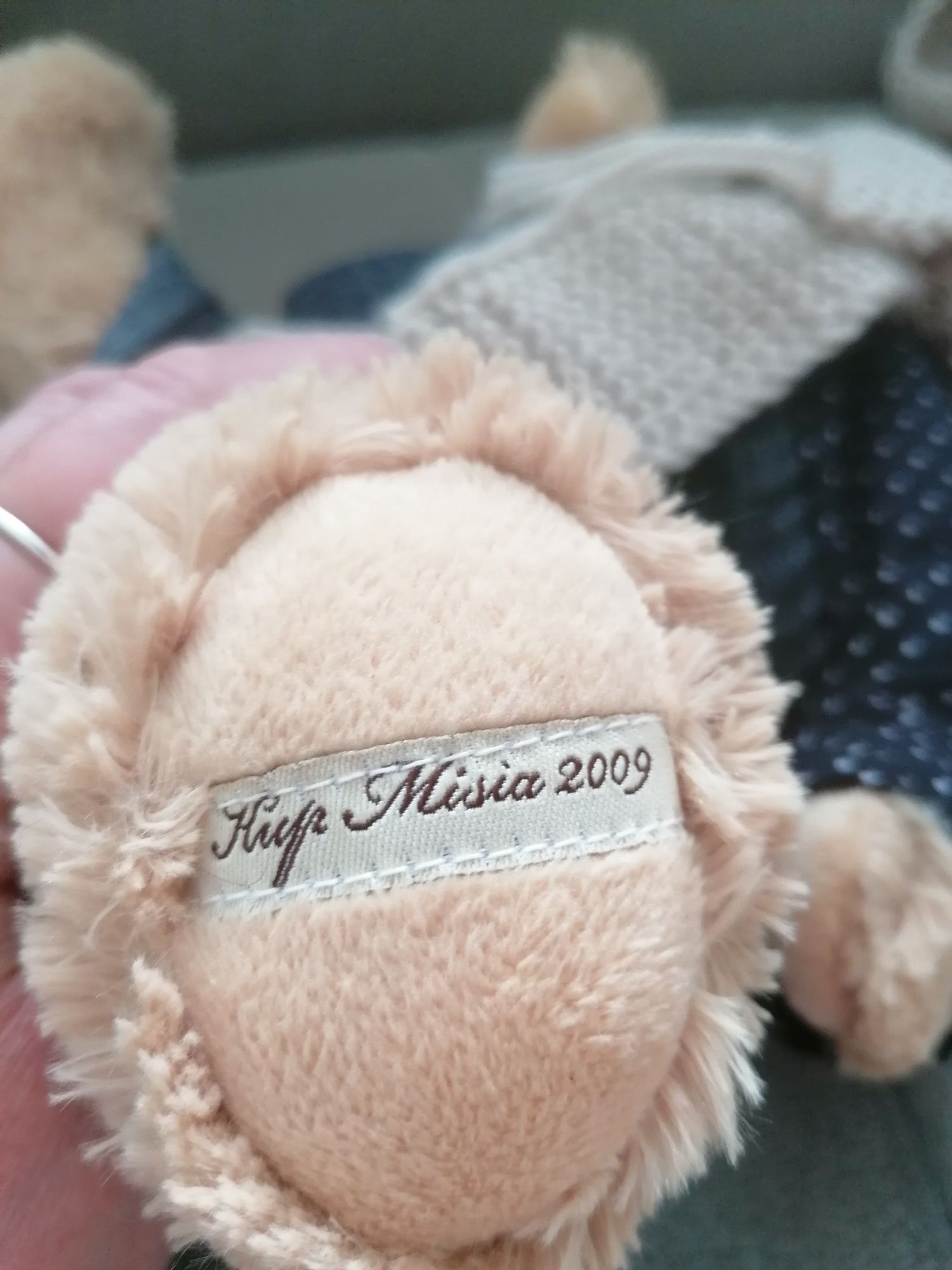 MIŚ Zyzio z Akcji TVN Kup Misia 2009