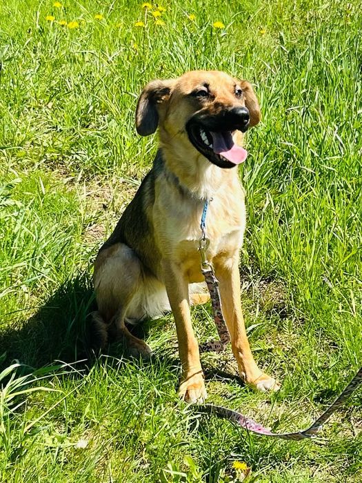 Kochana Cola szuka swojego Człowieka