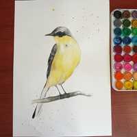 Obraz akwarela ptak pliszka żółta A3