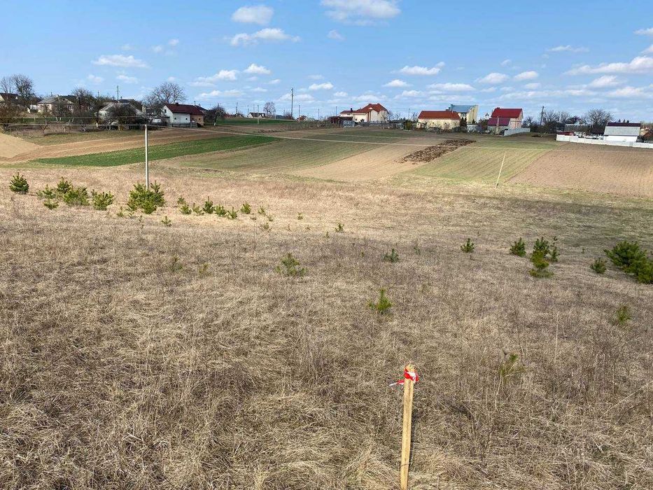 Терміново продам ділянку в Житині