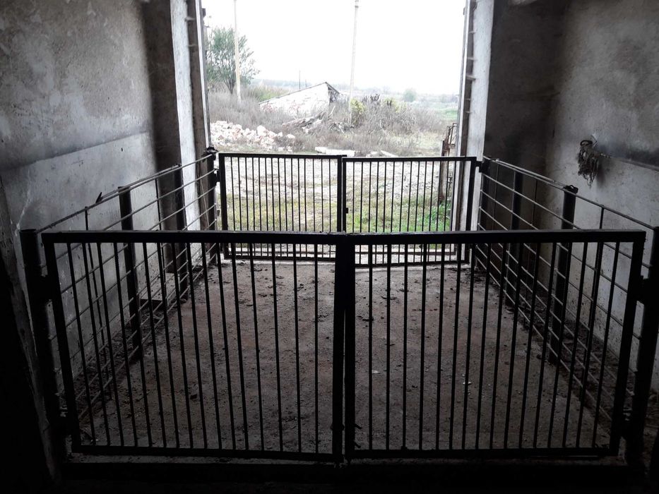 Ваги, веси, стаціонарна платформна вага для тварин