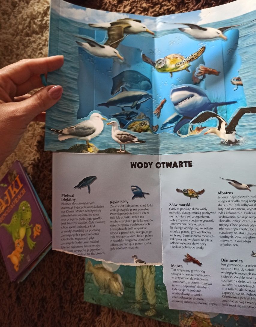 Książki o oceanie i rekinach 3D ocean zwierzęta