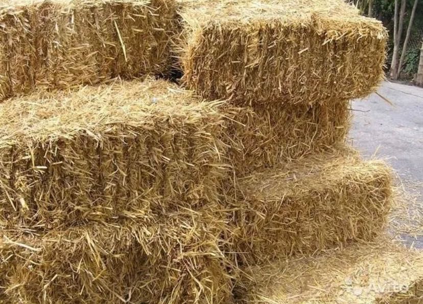 Продам сіно та солому