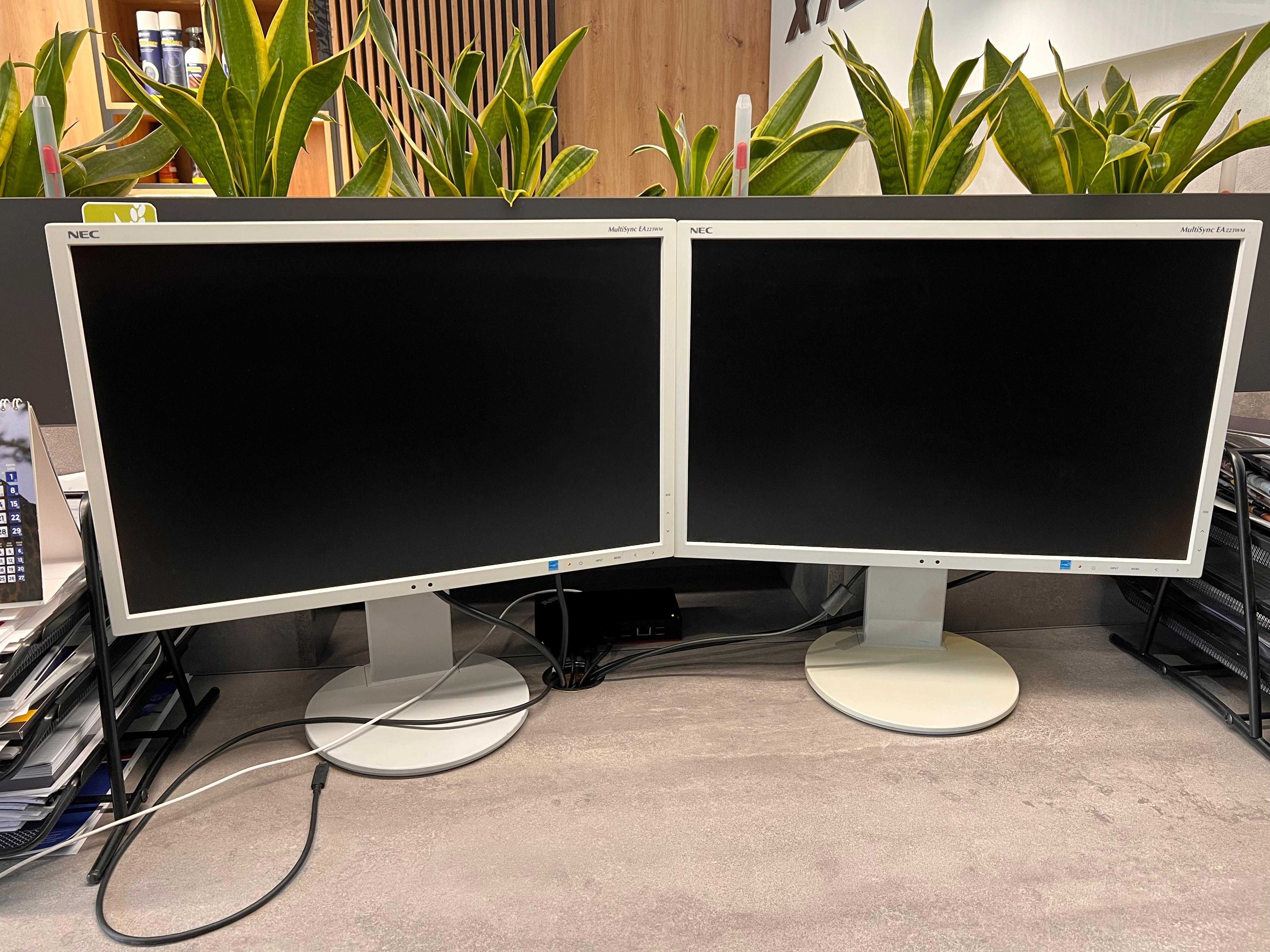 Monitory NEC MultiSync EA223WM
