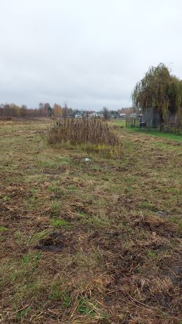 Działka budowlana, bezpośrednio, Wągrodno gm. Prażmów