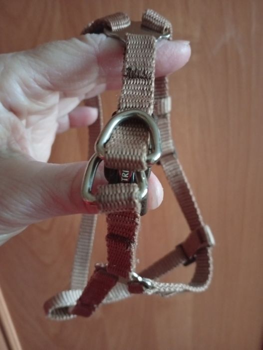 Шлейка для собачки