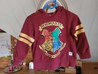 Bluza Harry Potter