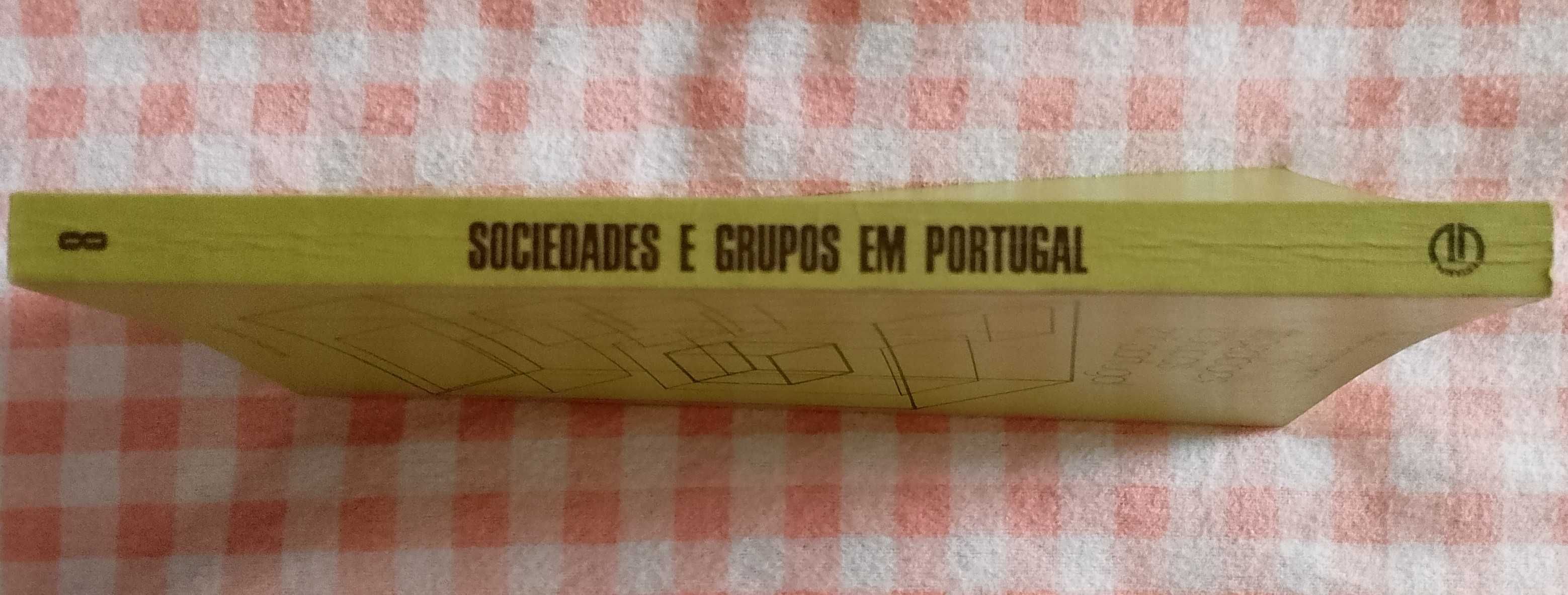 Sociedades e grupos em Portugal, Maria Belmira Martins