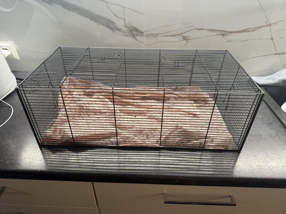 Klatka dla gryzonia chomika
