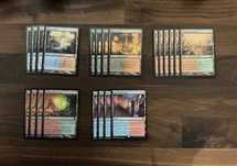 MTG Proxy Shock Lands