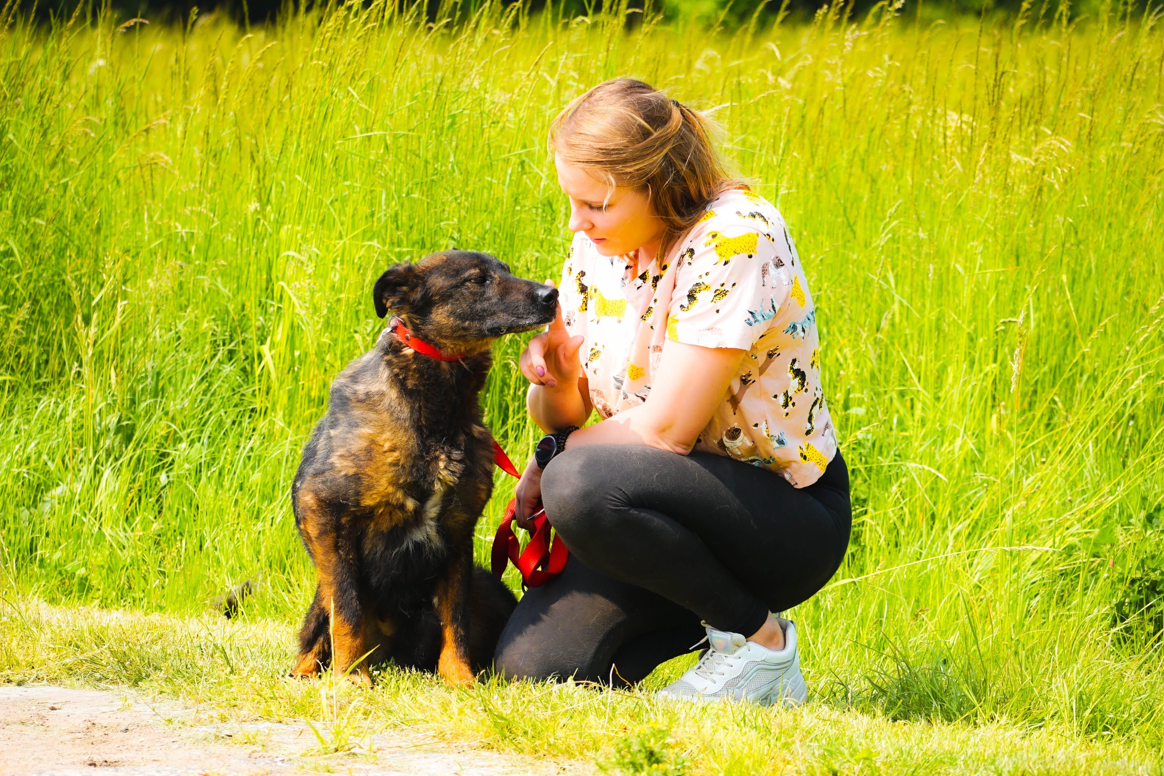 Misio czeka na swoją kolej pójścia do domku