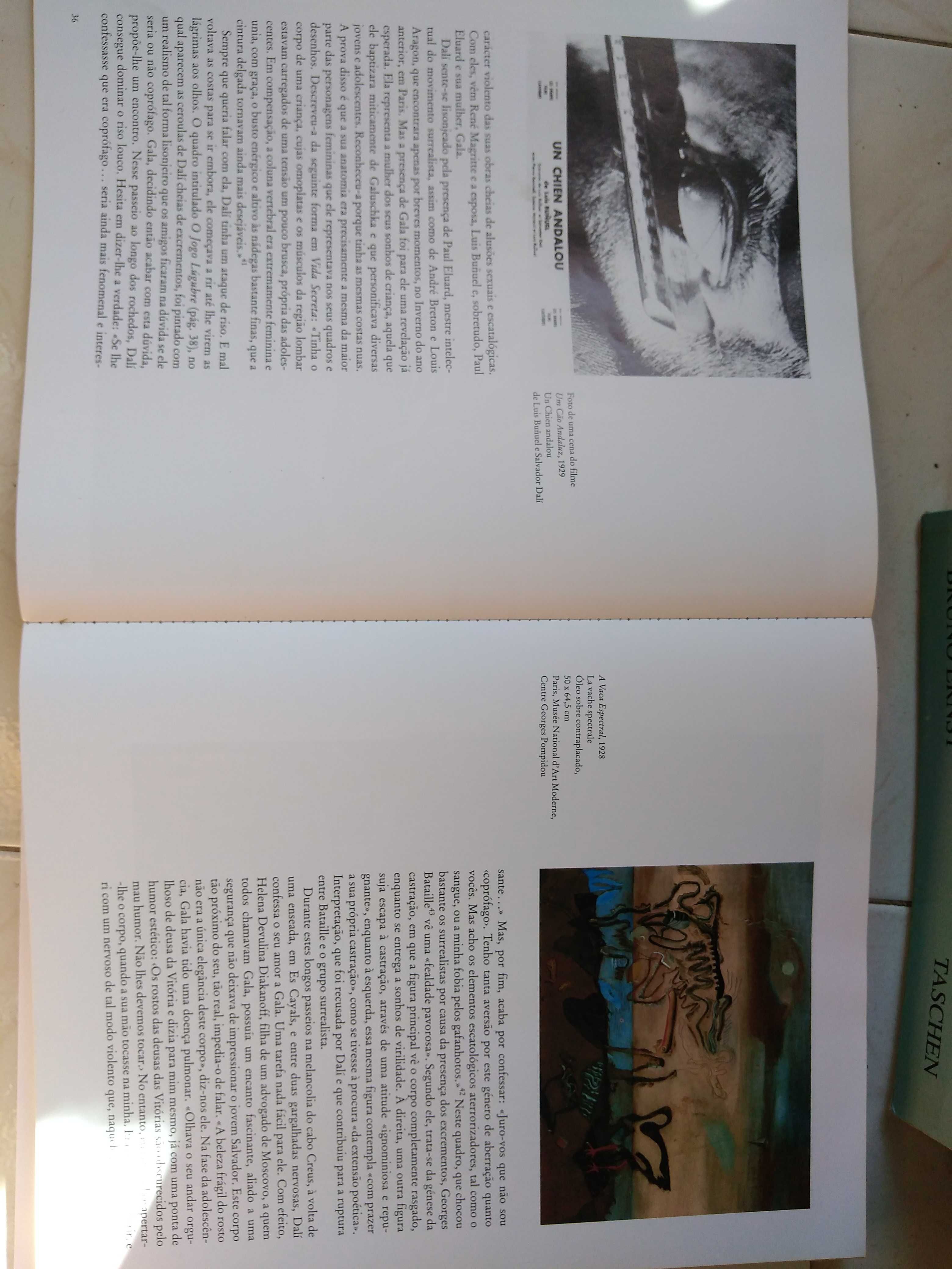 Livro de Salvador Dali