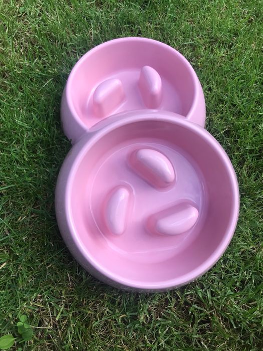 Nowe różowe miski dla psa