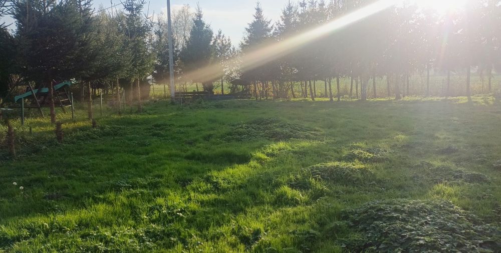 Piękna działka budowlana z warunkami zabudowy w Janowie, 8 km od E-ga