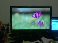 Monitor de computador LG