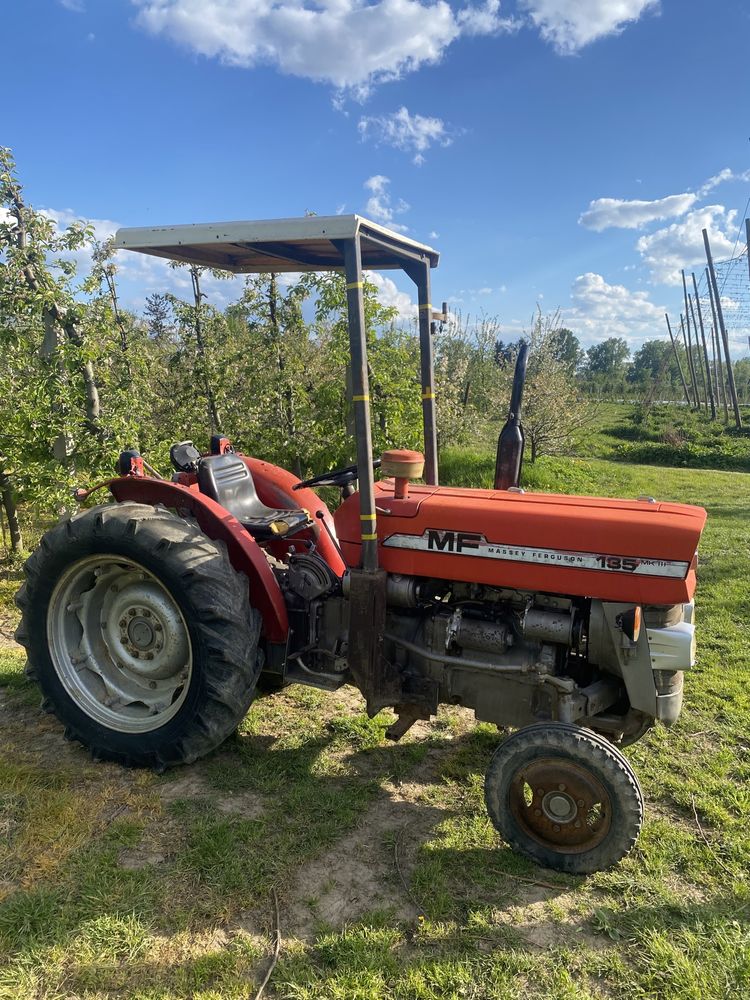 Massey Ferguson MF 135V mklll, 3cyl 47KM, sadowniczy, 255,235,147