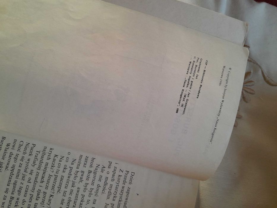 "Puc, Bursztyn i Goście" J. Grabowski