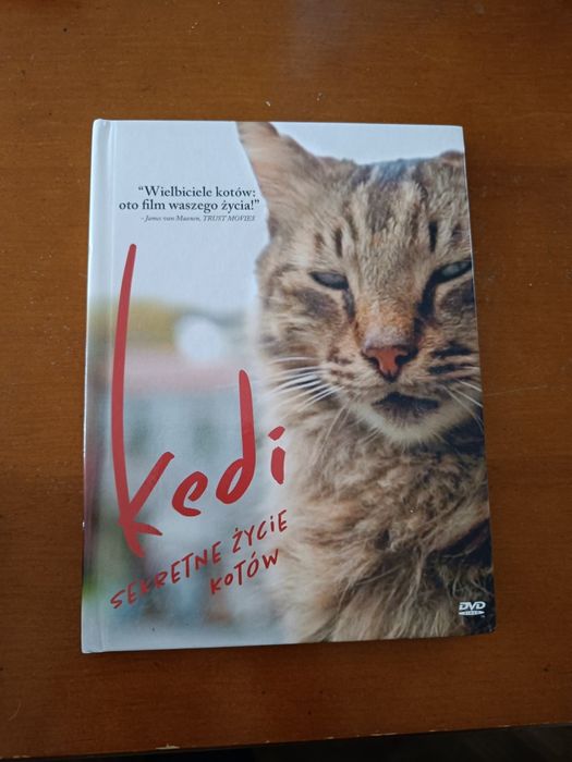 Film Kodi sekretne życie kotów